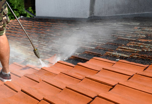 Best Roof Power Washing Services  in Rogers City, MI