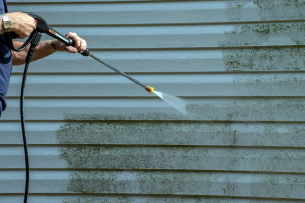 Best Roof Pressure Washing  in Rogers City, MI