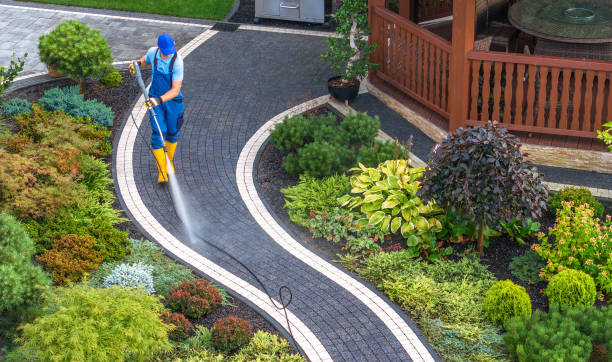 Best Exterior Home Cleaning  in Rogers City, MI