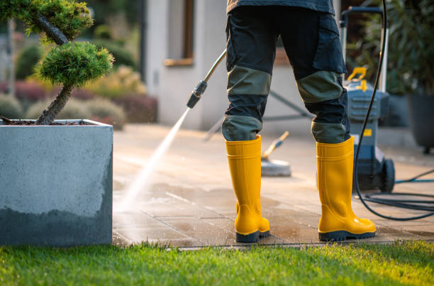 Best Deck Cleaning Services  in Rogers City, MI